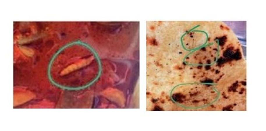 Complaints at MNLU Mess: Hair in Rotis, Worms in Dal